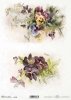 wiosenne kwiaty, bratki, fiołki*spring flowers, pansies, violets*Frühlingsblumen, Stiefmütterchen, Veilchen*flores de primavera, pensamientos, violetas